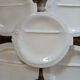 12 flat plates in earthenware/fish