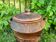 Vegetable dish or soup tureen in terracotta - Africa