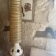 Ceramic lamp