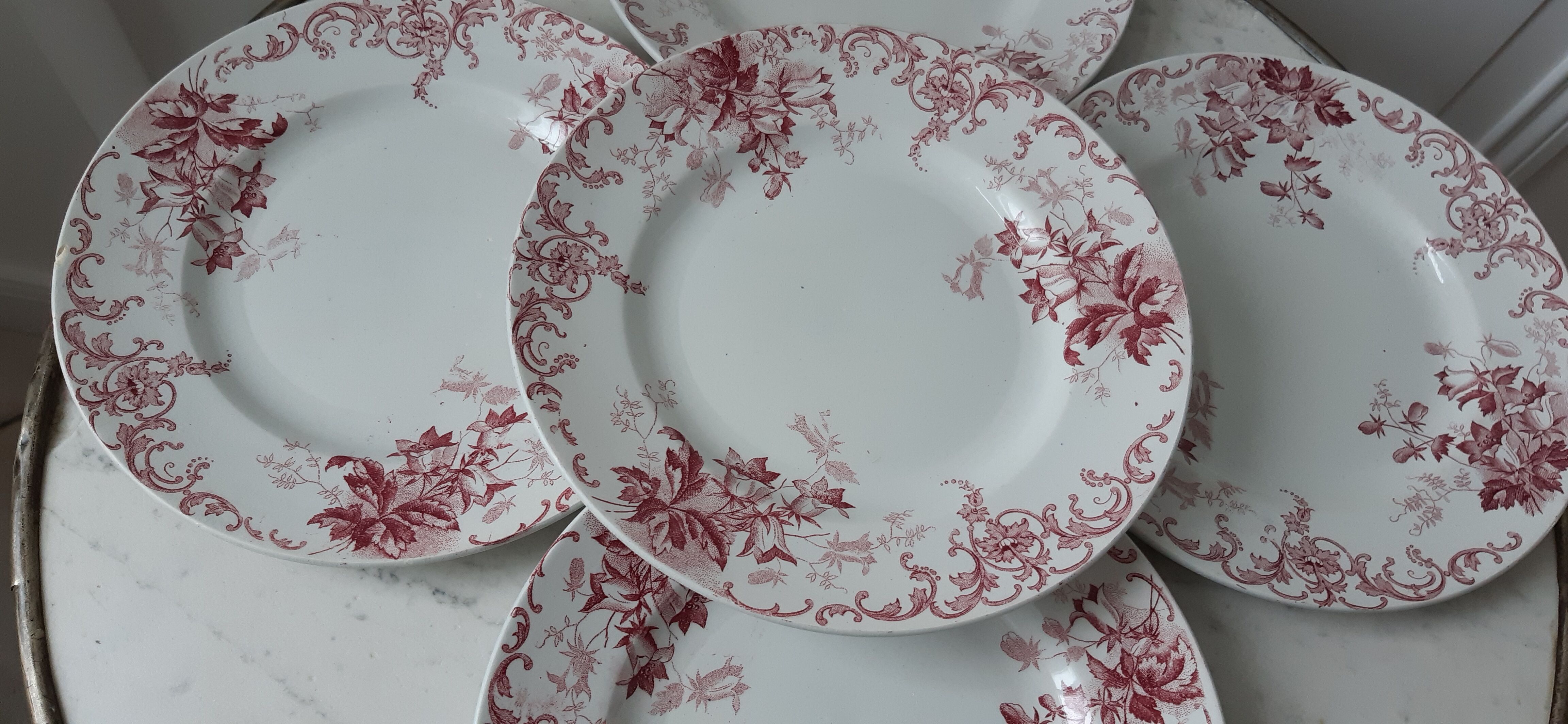 Set of 5 flat plates Terre de Fer St Amand model "Campanule" mid XIXth