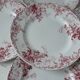 Set of 5 flat plates Terre de Fer St Amand model "Campanule" mid XIXth