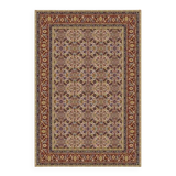 Colorful oriental home rug