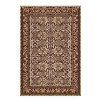 Tapis de maison oriental coloré