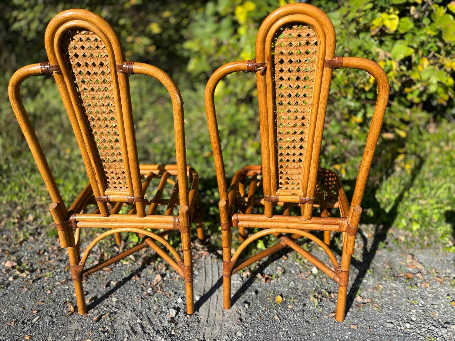 Set of two cane and rattan chairs