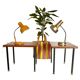 Tables d'appoint en teck du milieu du siècle, lot de deux, Italie années 1950