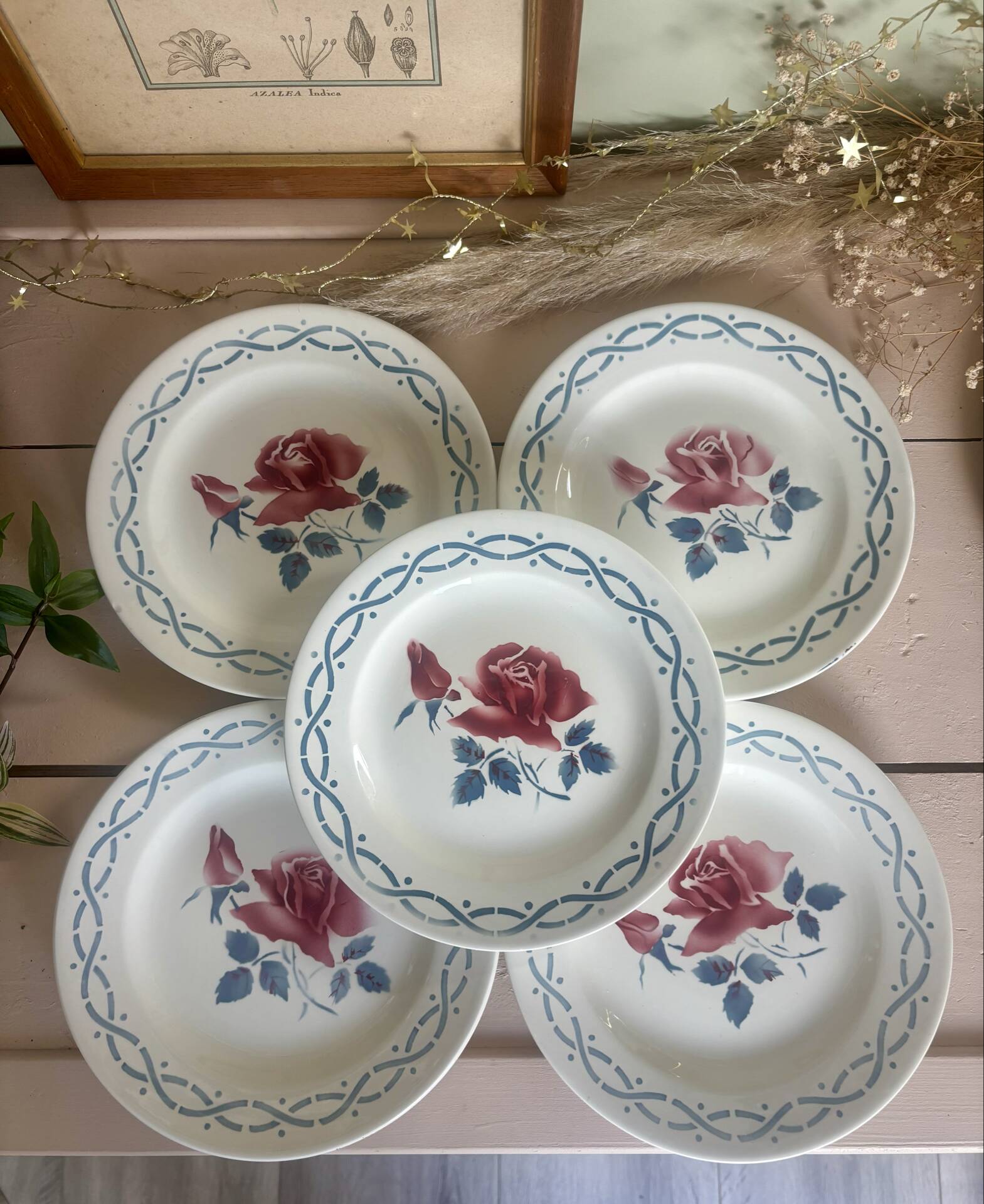 Set of 5 dessert plates earthenware Digoin Sarreguemines Janine