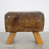 Vintage gymnastics horse