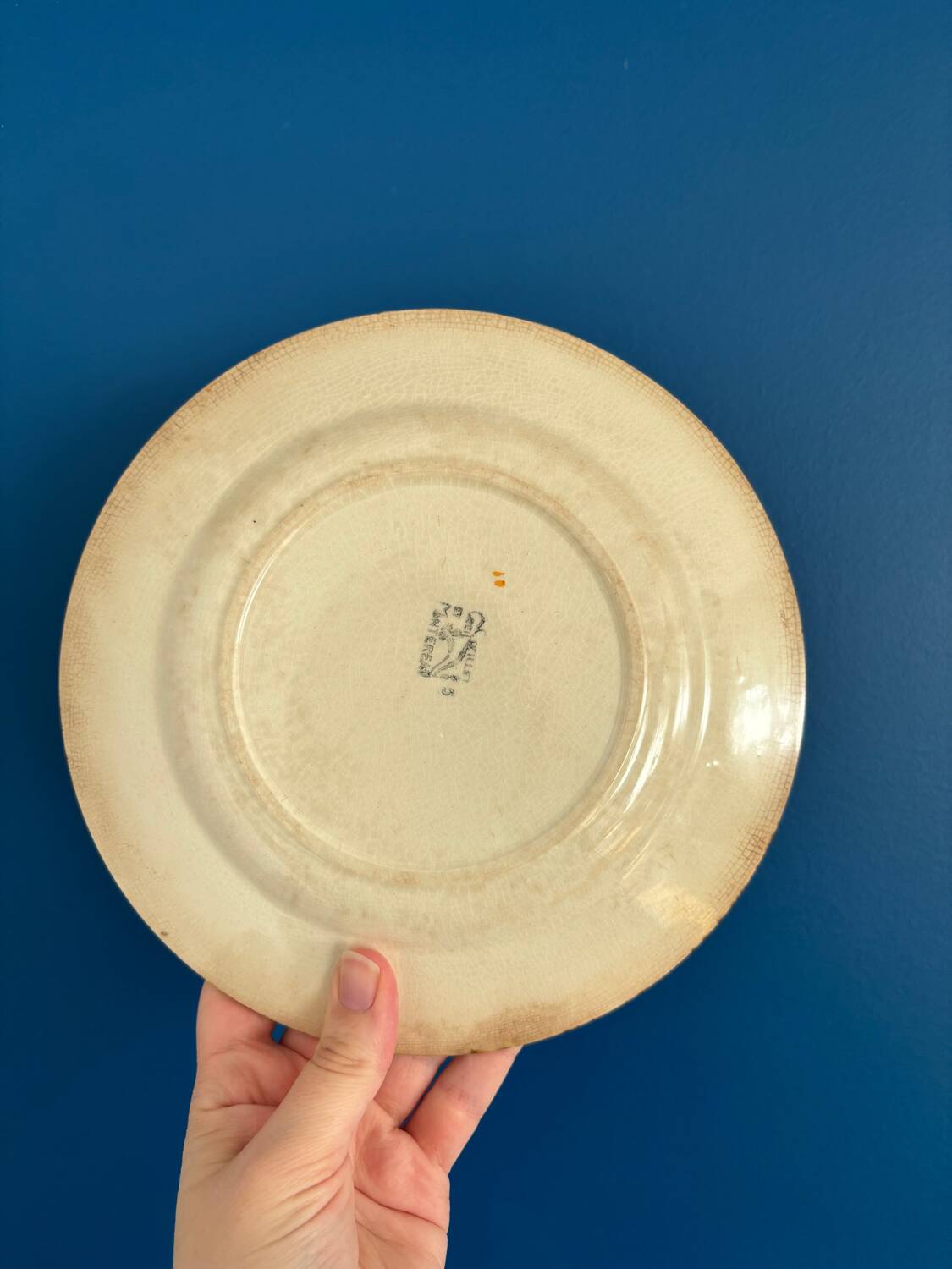 Set of 8 Creil et Montereau plates, Œillet model - earthenware plate