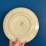 Set of 8 Creil et Montereau plates, Œillet model - earthenware plate