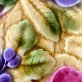 Sarreguemines slip dish