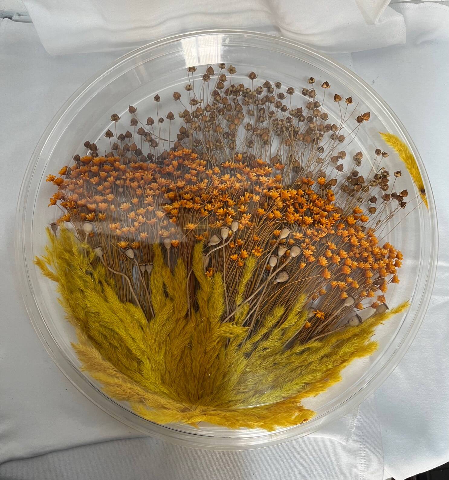 Plateau en plexiglas avec inclusions