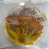 Plateau en plexiglas avec inclusions