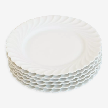 6 assiettes en porcelaine Haviland