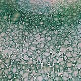 Vintage Villeroy and Boch dish