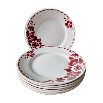 Lot de 7 assiettes plates Céranord St Amand, modèle Jane