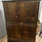 Asie XIXème: Meuble en bois de fer et bronze doré