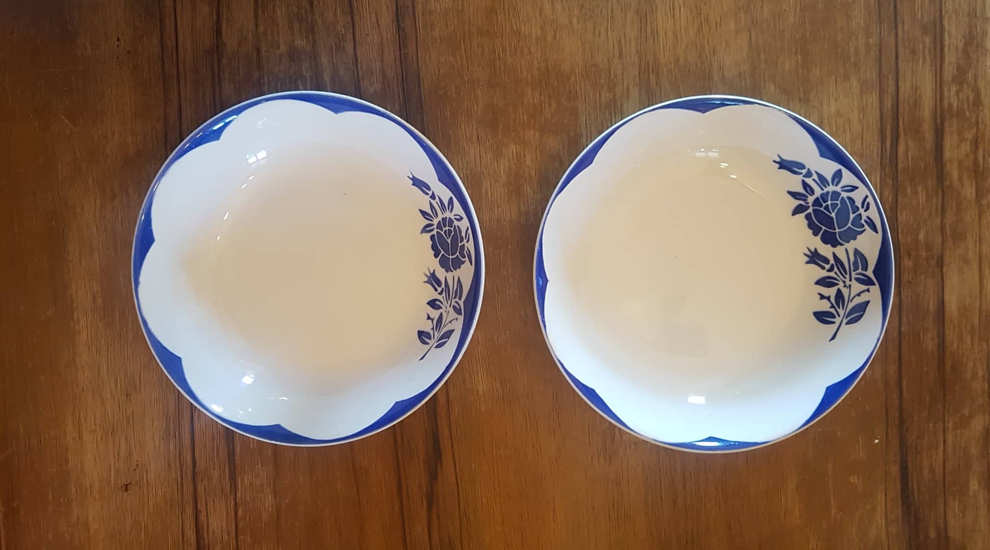 Set of 2 plates digoin sarreguemines model corsica