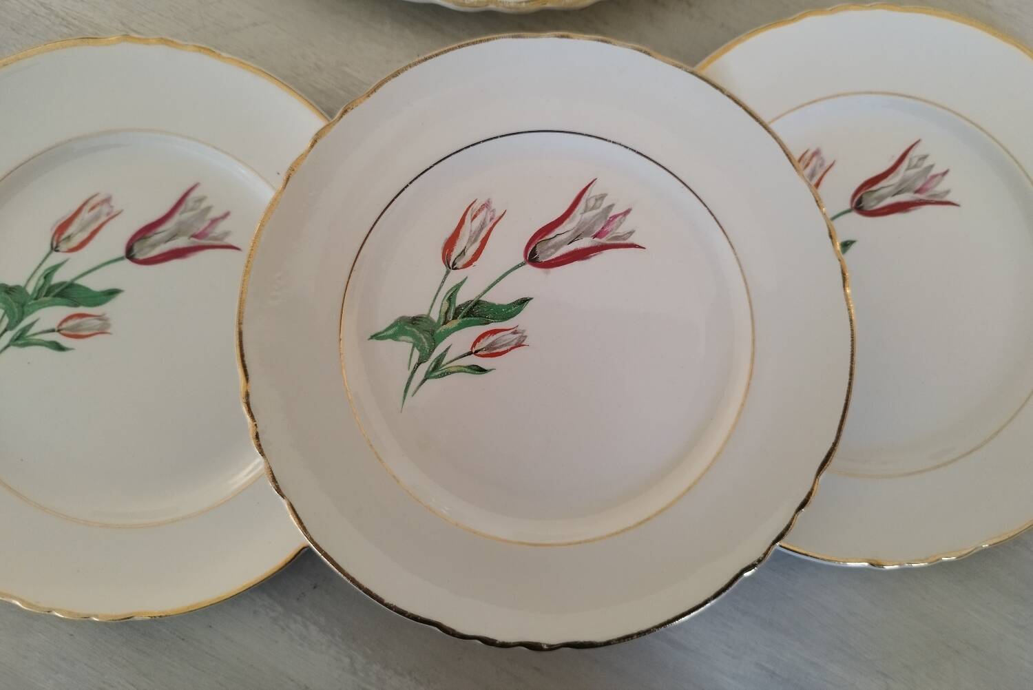 Plates Dessert Cake Old Earthenware Moulin des Loups Orchies Tulip Model