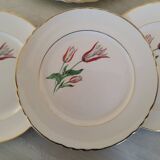 Plates Dessert Cake Old Earthenware Moulin des Loups Orchies Tulip Model