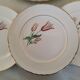 Plates Dessert Cake Old Earthenware Moulin des Loups Orchies Tulip Model