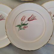 Plates Dessert Cake Old Earthenware Moulin des Loups Orchies Tulip Model