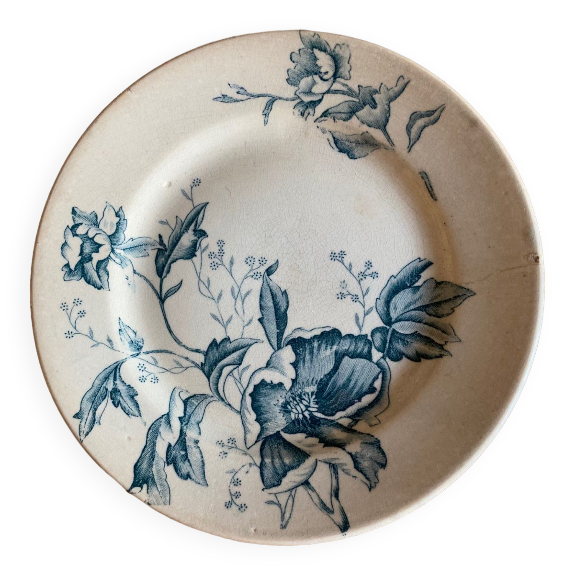 Assiette Terre de fer motif « Rose de Noël »