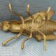Vintage ashtray insect