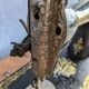 Singer sewing machine with pedal