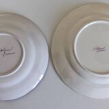 2 semi-deep earthenware plates, Saint Clément, vintage. Flower and rooster patterns