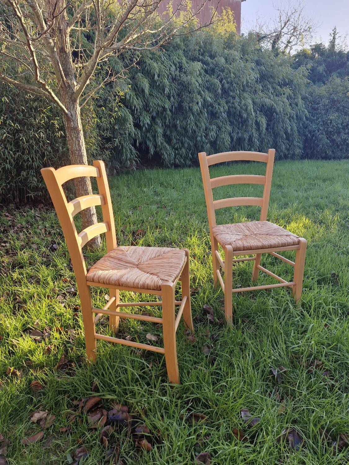 Pair of wooden and straw chairs