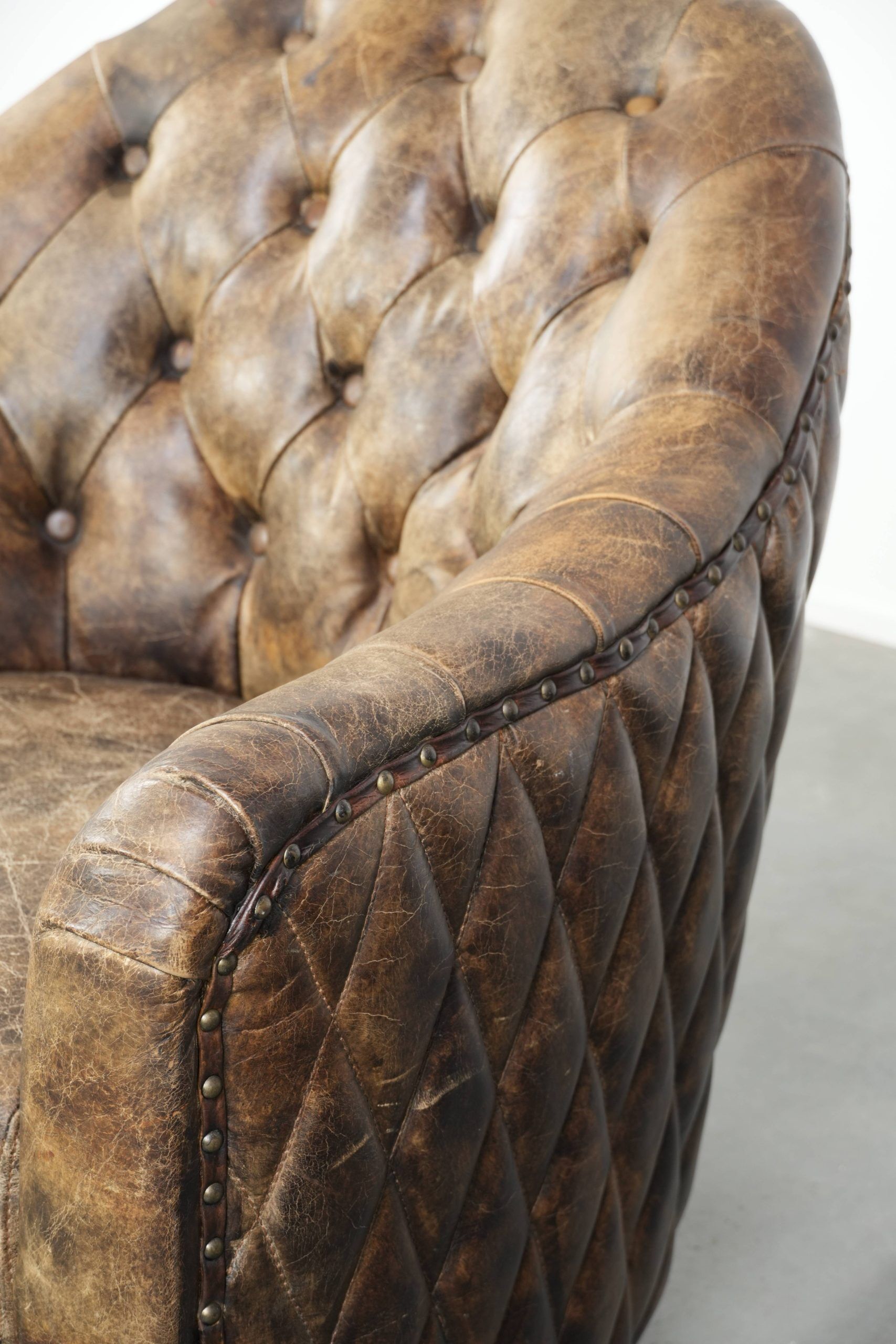 Unique cowhide Chesterfield club armchair with beautiful colour combination