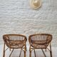 Pair of rattan basket armchairs, 1960s