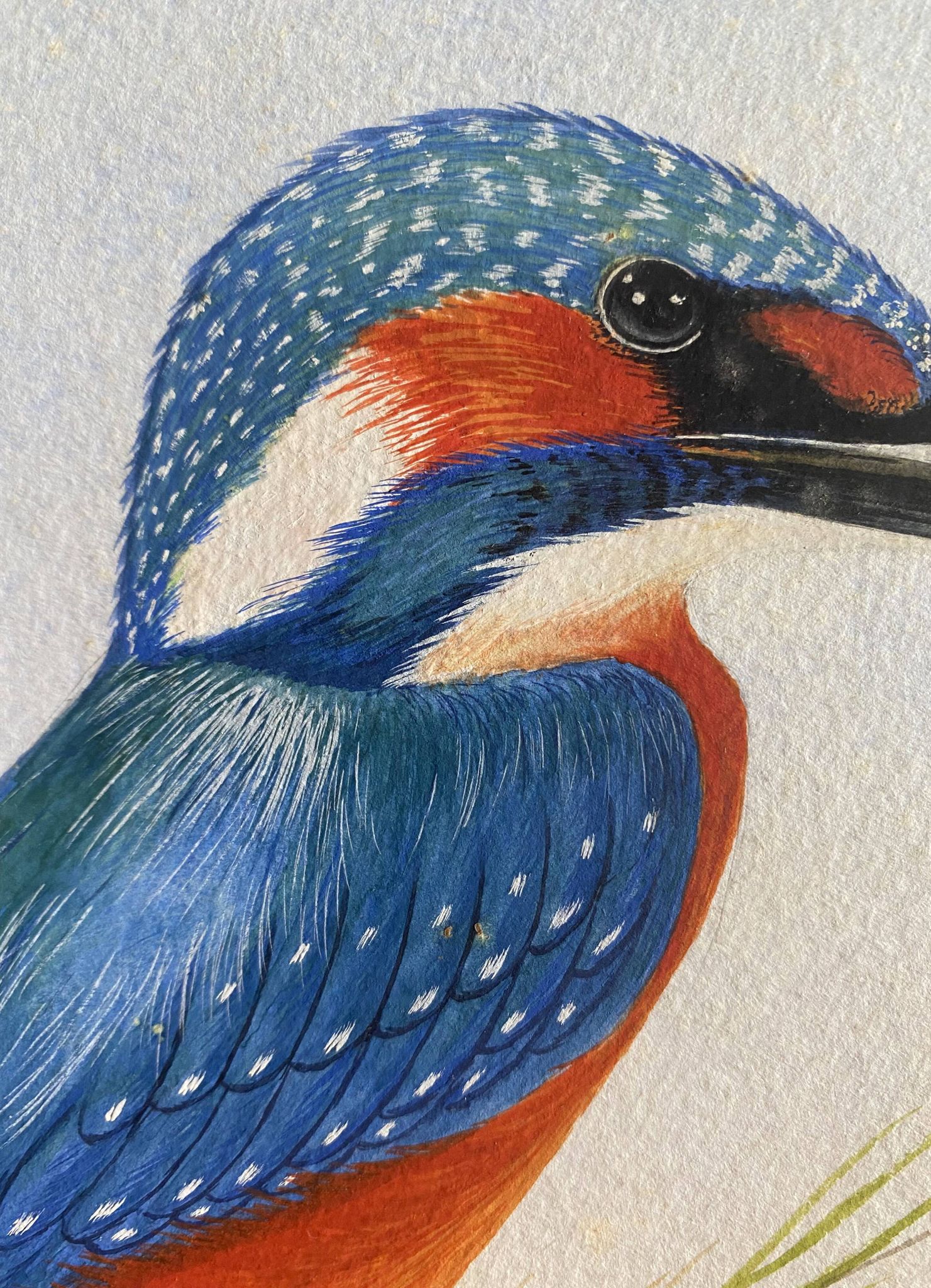 Tableau "Le Martin pêcheur" gouache naturaliste signé