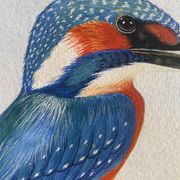 Tableau "Le Martin pêcheur" gouache naturaliste signé