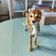 Italian ceramic leopard sculpture