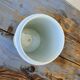 Important pharmacy jar Folium Belladonnae