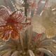 Large Venetian Pink Murano Glass Chandelier 1960’s