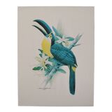 Vintage Exotic Poster