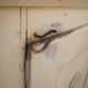 Vintage wooden pantry, old kitchen furniture