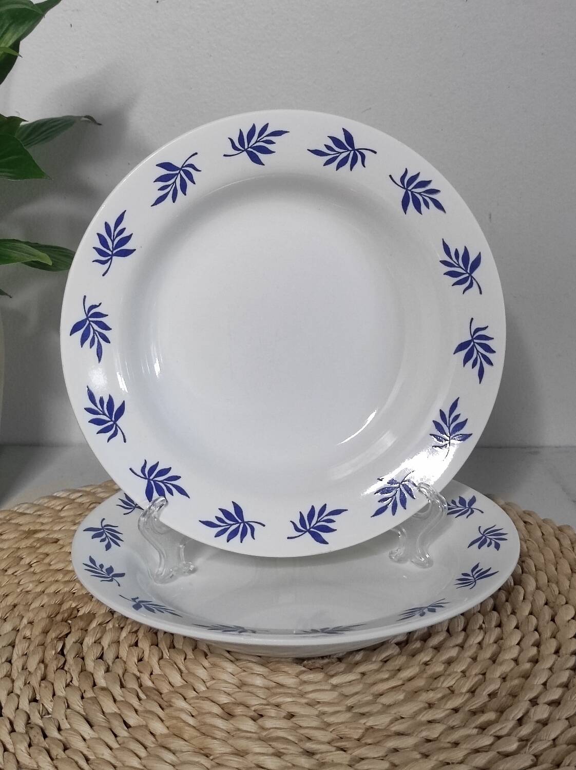 Blue leaf deep plates