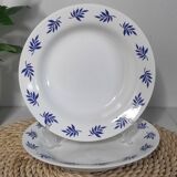 Blue leaf deep plates