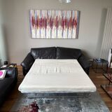 Canape roche bobois convertible
