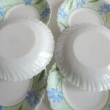 Green arcopal hollow plates