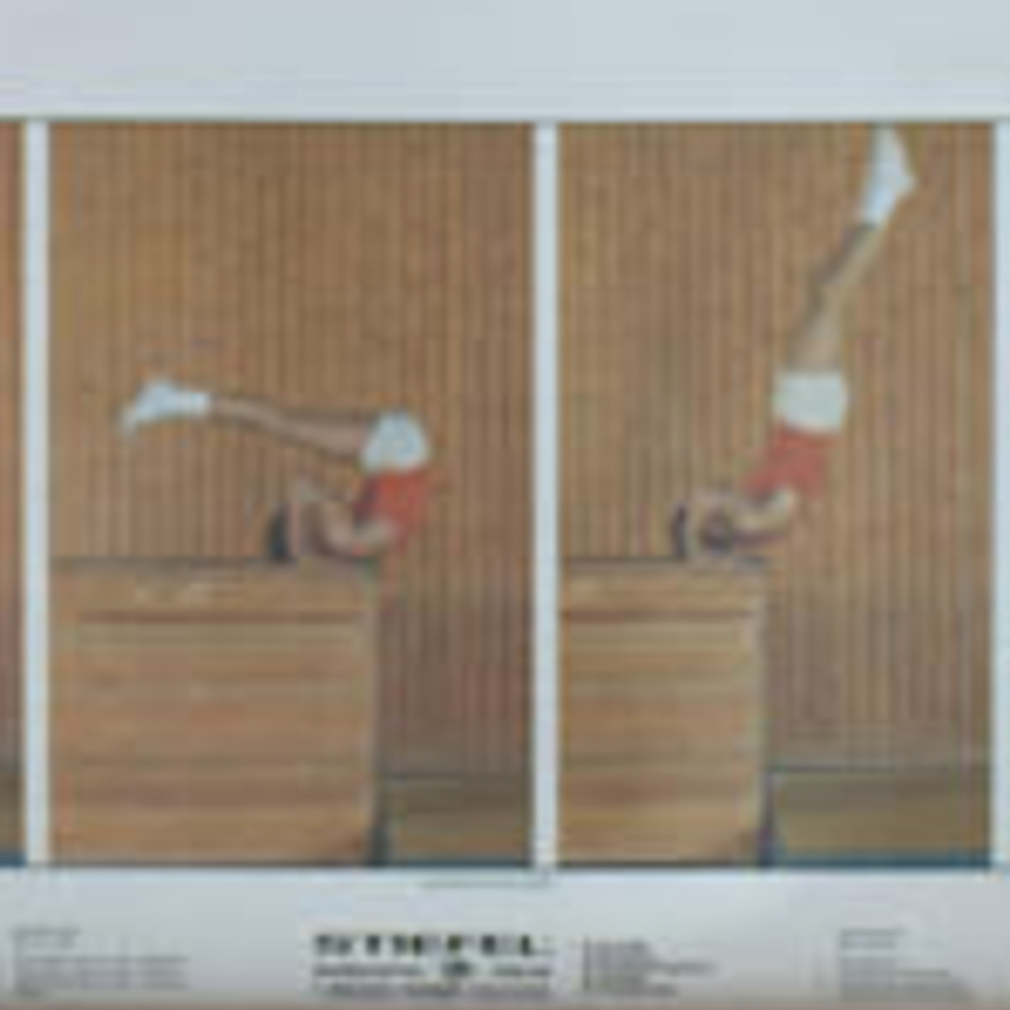 Affiche "sports" publiée par Paul Sappl Autriche 1968