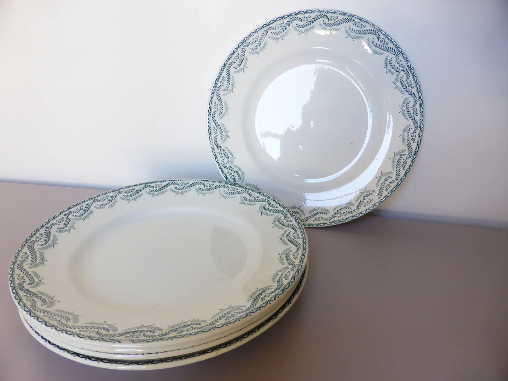 5 flat plates in ironstone from St Amand model Réjane 210726