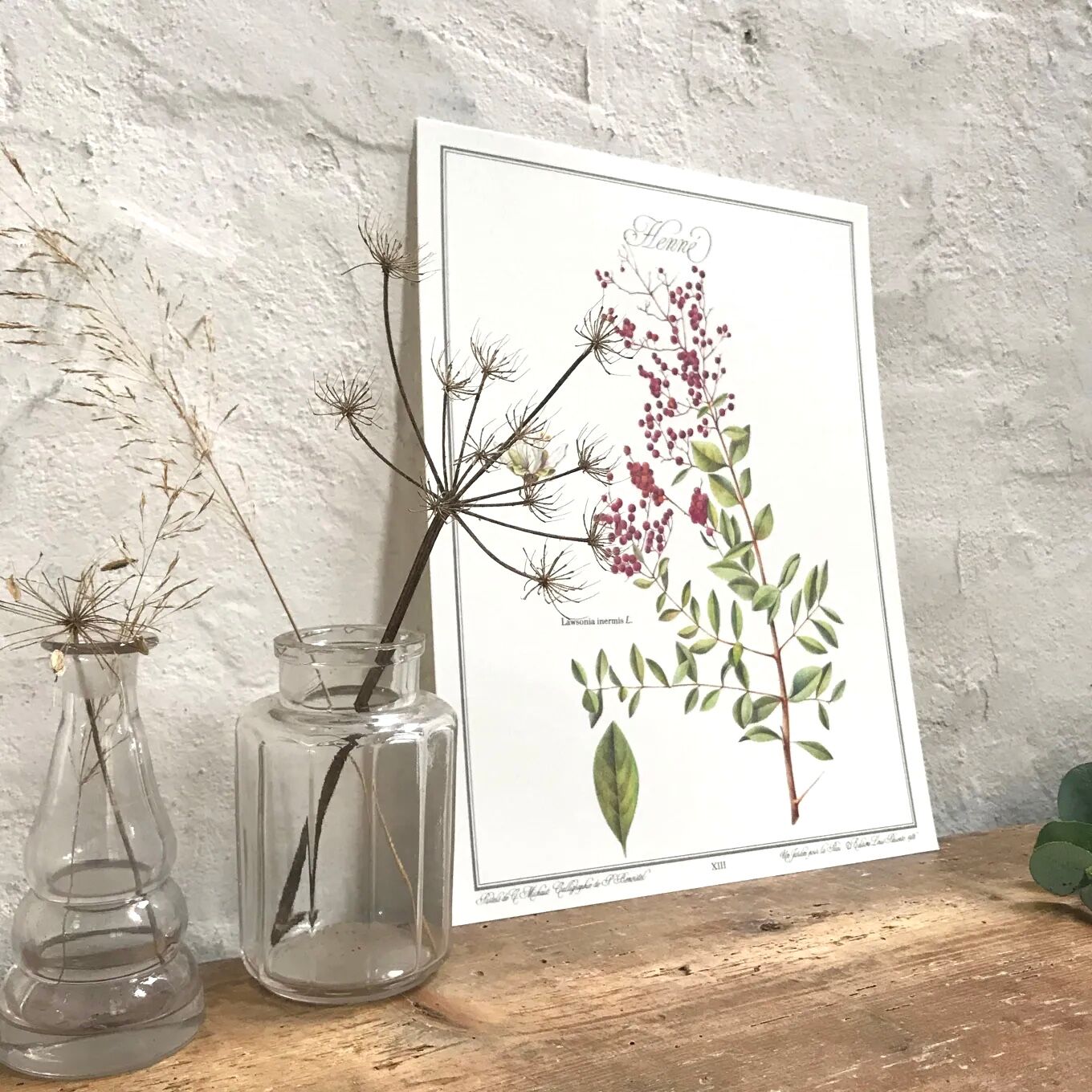 Botanical plate henna