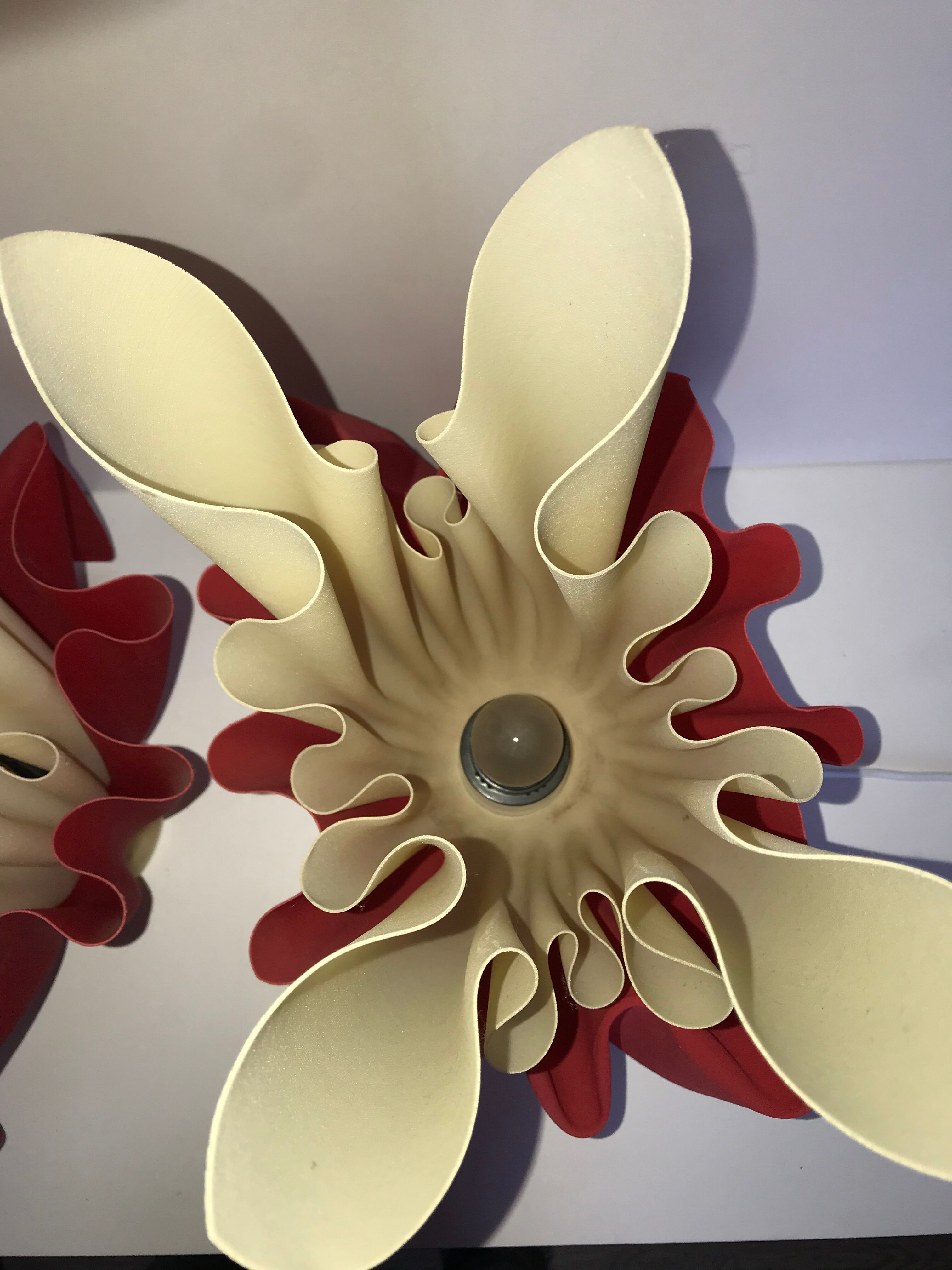 Pair of two-tone handkerchief lamps