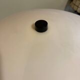 Designer mushroom lamp