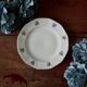 Plates and dish in genuine opaque Digoin Sarreguemines.