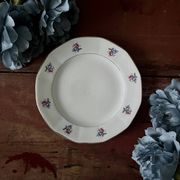 Assiettes et plat en véritable opaque Digoin Sarreguemines